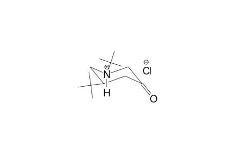piperidinium, 1,3-bis(1,1-dimethylethyl)-5-oxo-, chloride