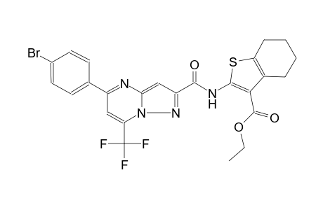 ethyl 2-({[5-(4-bromophenyl)-7-(trifluoromethyl)pyrazolo[1,5-a]pyrimidin-2-yl]carbonyl}amino)-4,5,6,7-tetrahydro-1-benzothiophene-3-carboxylate