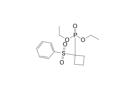(1-Diethoxyphosphorylcyclobutyl)sulfonylbenzene