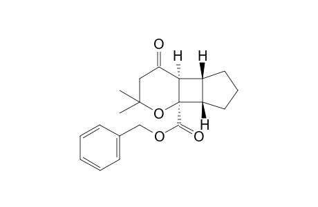 Benzyl (4aS,4bR,7aS,7bR)-2,2-dimethyl-4-oxooctahydrocyclopenta[3,4]cyclobuta[1,2-b]pyran-7b(2H)-carboxylate