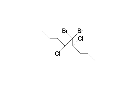 1,1-Dibromo-2,3-dichloro-2,3-dipropyl-cyclopropane