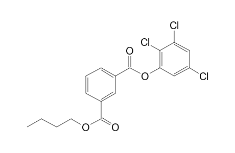 Isophthalic acid, butyl 2,3,5-trichlorophenyl ester