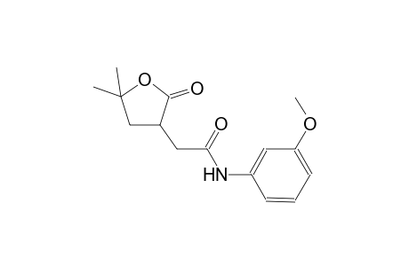2-(5,5-dimethyl-2-oxotetrahydro-3-furanyl)-N-(3-methoxyphenyl)acetamide