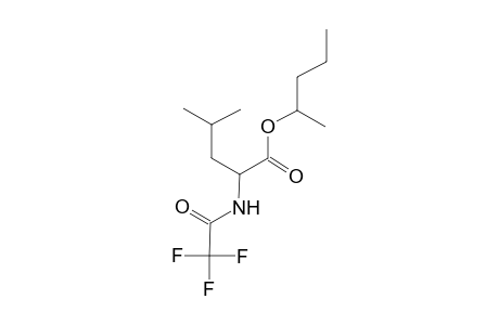 L-Leucine, N-(trifluoroacetyl)-, 1-methylbutyl ester