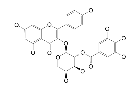 KAEMPFEROL-3-O-ALPHA-L-ARABINOPYRANOSIDE-2''-GALLATE