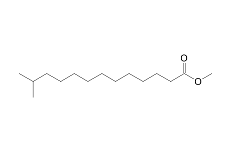 Tridecanoic acid, 12-methyl-, methyl ester