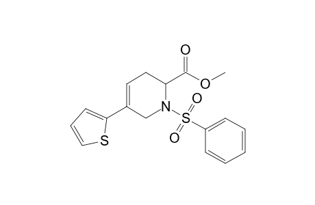 Methyl 1-(phenylsulfonyl)-5-(2-thienyl)-1,2,3,6-tetrahydropyridine-2-carboxylate