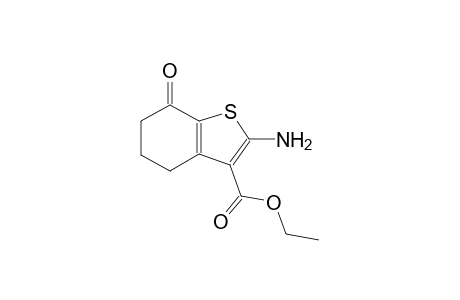 benzo[b]thiophene-3-carboxylic acid, 2-amino-4,5,6,7-tetrahydro-7-oxo-, ethyl ester