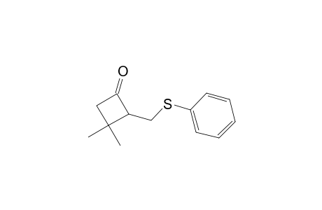 3,3-Dimethyl-2-[(phenylthio)methyl]cyclobutanone