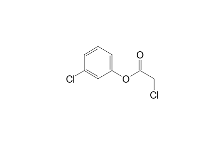 3-Chlorophenyl monochloroacetate