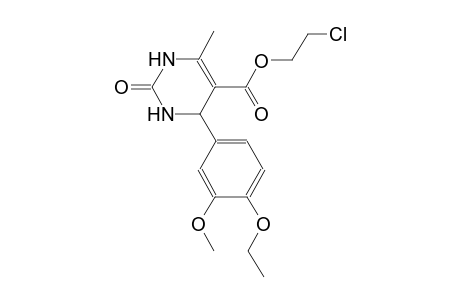 2-chloroethyl 4-(4-ethoxy-3-methoxyphenyl)-6-methyl-2-oxo-1,2,3,4-tetrahydro-5-pyrimidinecarboxylate