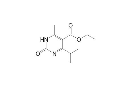 Ethyl 1,2-dihydro-4-isopropyl-6-methyl-2-oxopyrimidine-5-carboxylate