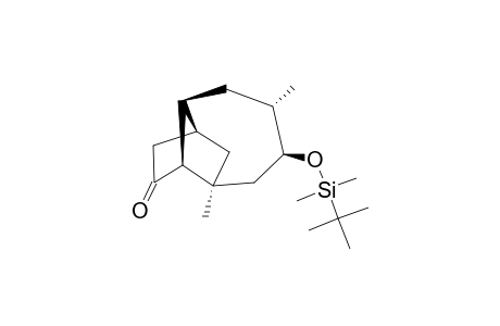 (1S*,3S*,6R*,7S*,9S*,10S*)-10-TERT.-BUTYLDIMETHYLSILOXY-1,9-DIMETHYLTRICYCLO-[5.4.0.0-(3,7)]-UNDECAN-5-ONE