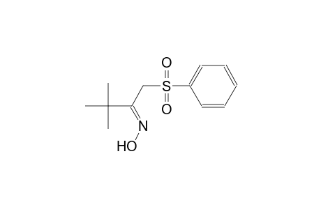 (2E)-3,3-dimethyl-1-(phenylsulfonyl)-2-butanone oxime