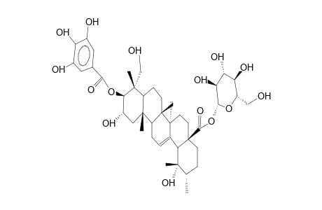 3-O-GALLOYL-23-HYDROXYTORMENTIC ACID 28-O-beta-D-GLUCOPYRANOSIDE