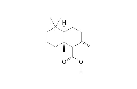 Methyl trans-decahydro-5,5,8a.beta.-trimethyl-2-methylene-1.xi.-naphthalenecarboxylate
