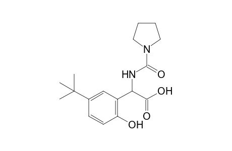 (5-tert-Butyl-2-hydroxyphenyl)[(pyrrolidine-1-carbonyl)amino]acetic acid