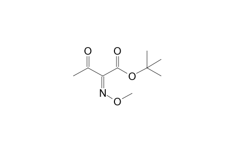 tert-butyl (2Z)-2-methoxyimino-3-oxo-butanoate