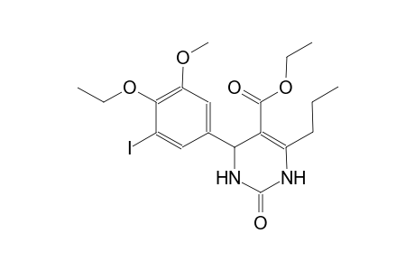 ethyl 4-(4-ethoxy-3-iodo-5-methoxyphenyl)-2-oxo-6-propyl-1,2,3,4-tetrahydro-5-pyrimidinecarboxylate
