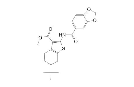 methyl 2-[(1,3-benzodioxol-5-ylcarbonyl)amino]-6-tert-butyl-4,5,6,7-tetrahydro-1-benzothiophene-3-carboxylate