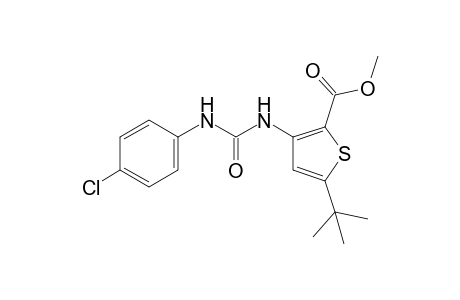 5-tert-butyl-3-[3-(p-chlorophenyl)ureido]-2-thiophenecarboxylic acid, methyl ester