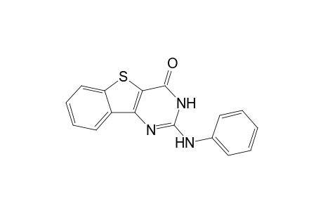 2-(Phenylamino)benzothieno[3,2-d]pyrimidin-4(3H)-one