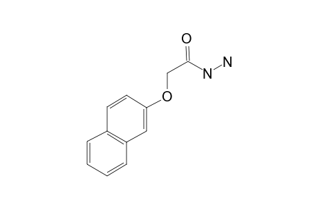 2-(2-Naphthyloxy)acetohydrazide