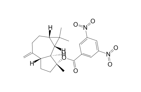 1H-Cycloprop[e]azulen-7-ol, decahydro-1,1,7-trimethyl-4-methylene-, 3,5-dinitrobenzoate, [1aS-(1a.alpha.,4a.alpha.,7.beta.,7a.beta.,7b.alpha.)]-