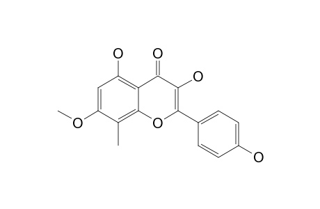 TUPICHINOL-E;3,5,4'-TRIHYDROXY-7-METHOXY-8-METHYLFLAVONE
