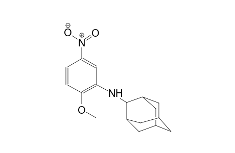 N-(2-methoxy-5-nitrophenyl)-2-adamantanamine