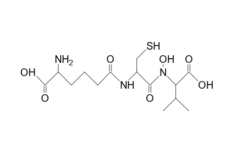 .delta.-(L-A-Amino-adipoyl)-L-cysteinyl-N-hydroxy-D-valine