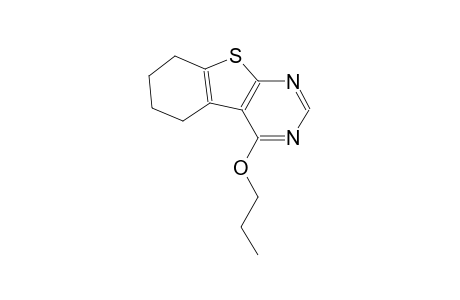 4-propoxy-5,6,7,8-tetrahydro[1]benzothieno[2,3-d]pyrimidine