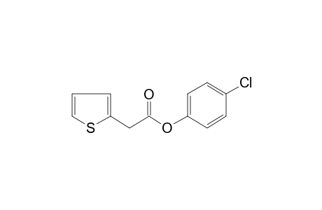 2-Thiopheneacetic acid, 4-chlorophenyl ester