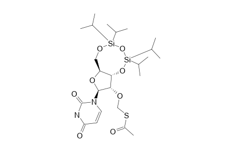 2'-O-ACETYLTHIOMETHYL-3',5'-O-(TETRAISOPROPYLDISILOXANE-1,3-DIYL)-URIDINE