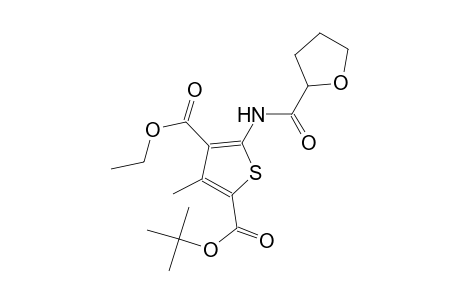 2-tert-butyl 4-ethyl 3-methyl-5-[(tetrahydro-2-furanylcarbonyl)amino]-2,4-thiophenedicarboxylate