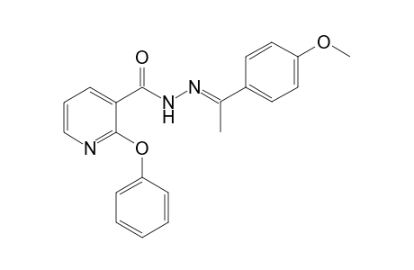 (1-(4-Methoxyphenyl)ethylidene)-2-phenoxynicotinic acid hydrazide