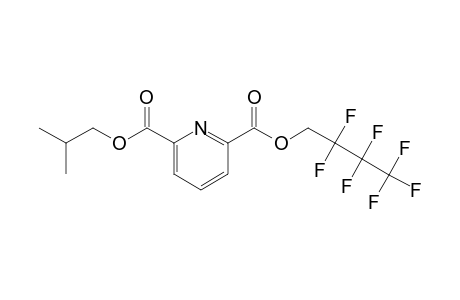 2,6-Pyridinedicarboxylic acid, 2,2,3,3,4,4,4-heptafluorobutyl isobutyl ester