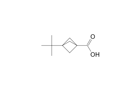 3-tert-Butylbicyclo[1.1.1]pentane-1-carboxylic Acid