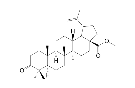 methyl lup-20(29)-en-3-one-28-oic acid