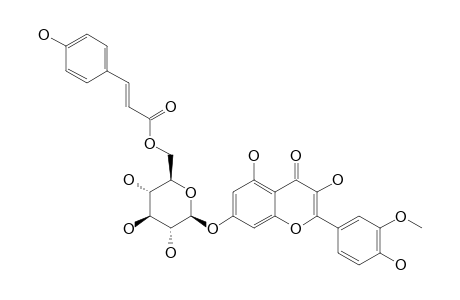 BUDDLENOID-B;ISORHAMNETIN-7-BETA-D-(6''-PARA-COUMAROYLGLUCOPYRANOSIDE)
