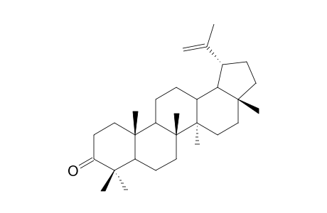 Lup-20(29)-en-3-one