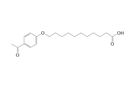 11-(p-acetylphenoxy)undecanoic acid