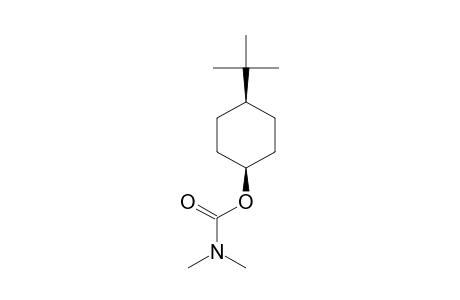 4-TERT.-BUTYL-CYCLOHEXYL-N,N-DIMETHYLCARBAMATE