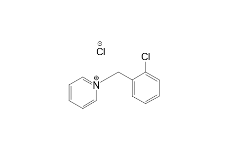 N-(2-Chlorobenzyl)pyridinium Chloride