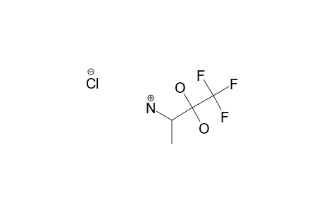 (R/S)-3-AMINO-2,2-DIHYDROXY-1,1,1-TRIFLUOROBUTANE-HYDROCHLORIDE-SALT