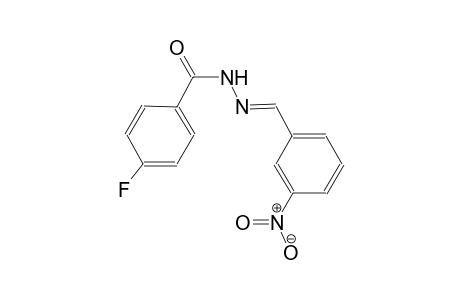 4-Fluoro-N'-[(E)-(3-nitrophenyl)methylidene]benzohydrazide