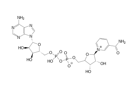 β-Nicotinamide adenine dinucleotide