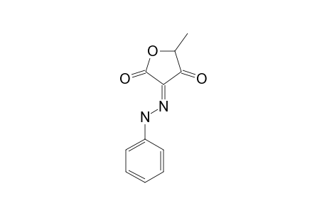 5-METHYL-3-PHENYLHYDRAZONO-TETRONIC-ACID;(TAUTOMER-1)