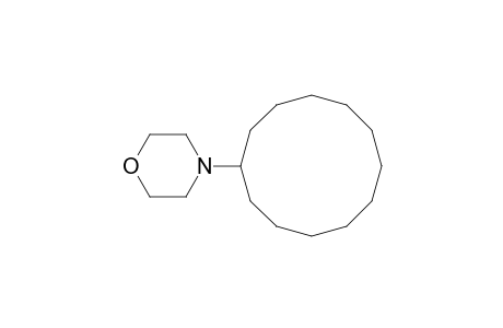 4-Cyclododecylmorpholine