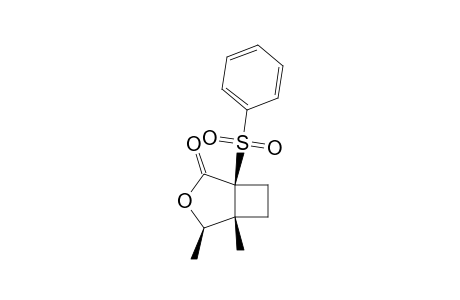 (1R,2R,5S)-1,2-dimethyl-5-(phenylsulfonyl)-3-oxabicyclo[3.2.0]heptan-4-one